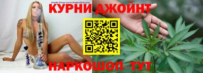 спиды Новодвинск