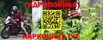 спиды Новодвинск