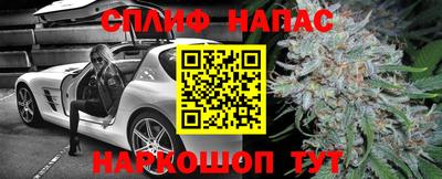 каннабис Новокубанск