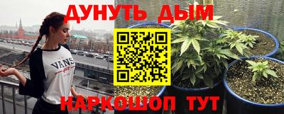 каннабис Новокубанск