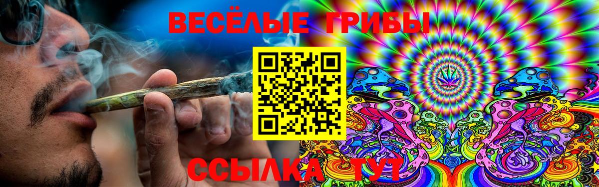Псилоцибиновые грибы Cubensis Ростов Великий