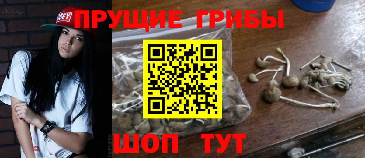 Ростов Великий  Галлюциногенные грибы мухоморы  Вход с VPN 